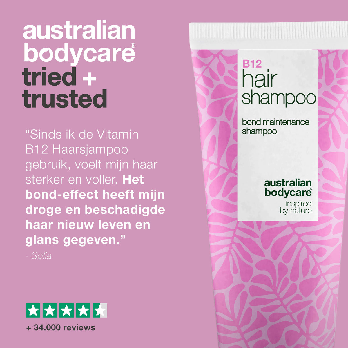 Vitamine B12 Haarshampoo – herstelt en versterkt beschadigd haar — Vitamine B12 Haarsjampoo voedt droog, beschadigd haar en beschermt met bond-effect. Bevat Vitamine B12, Elaya Renova™ en Glycerine.